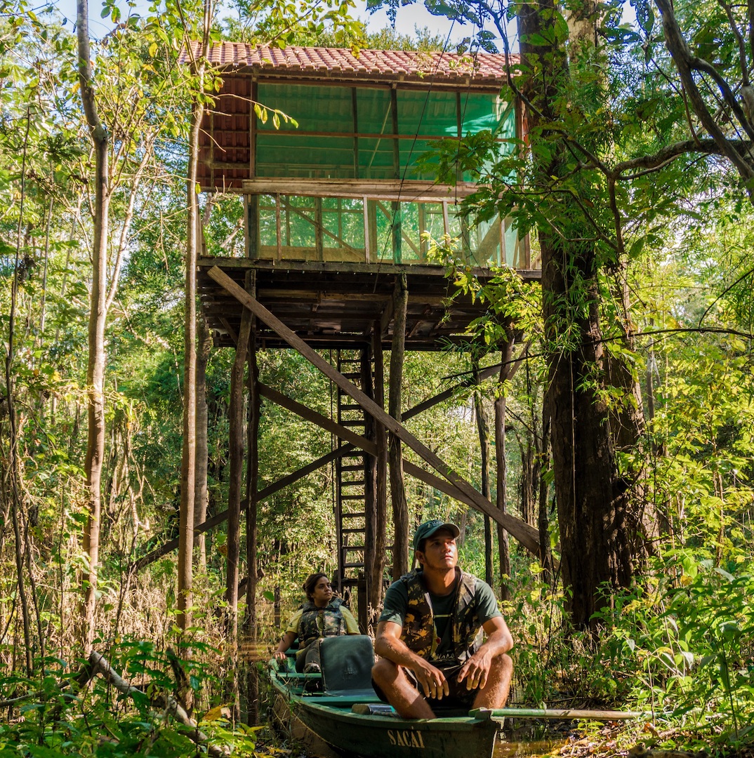 Jungle House.jpg